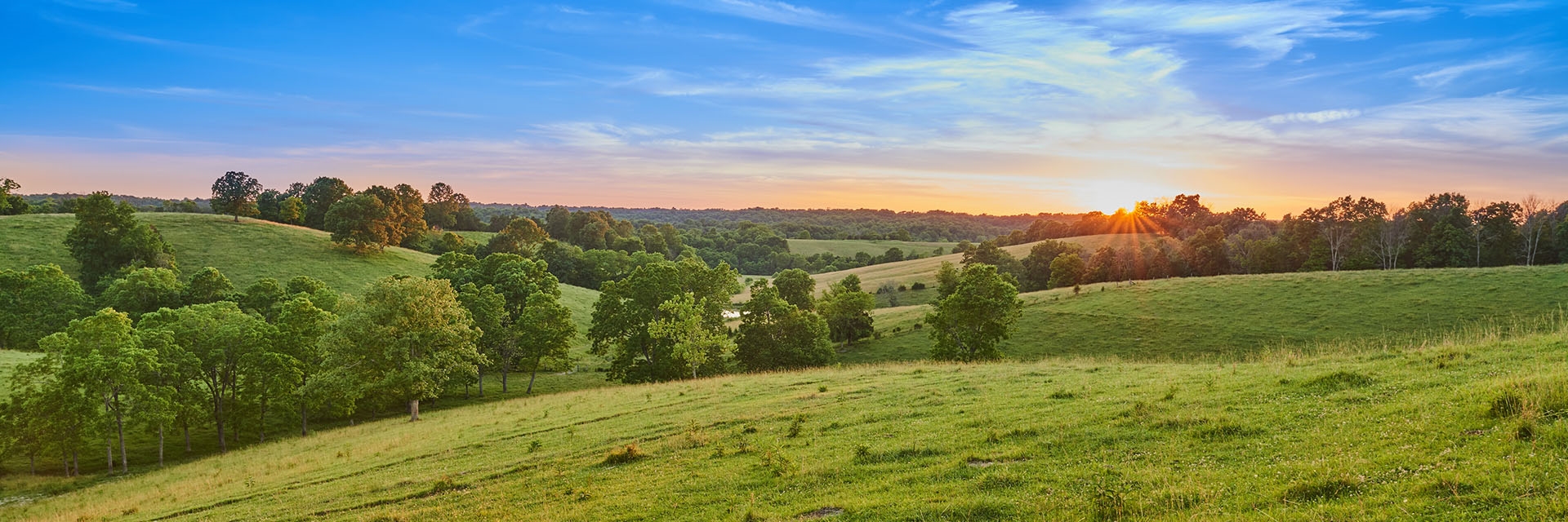 A field on a sunrise
