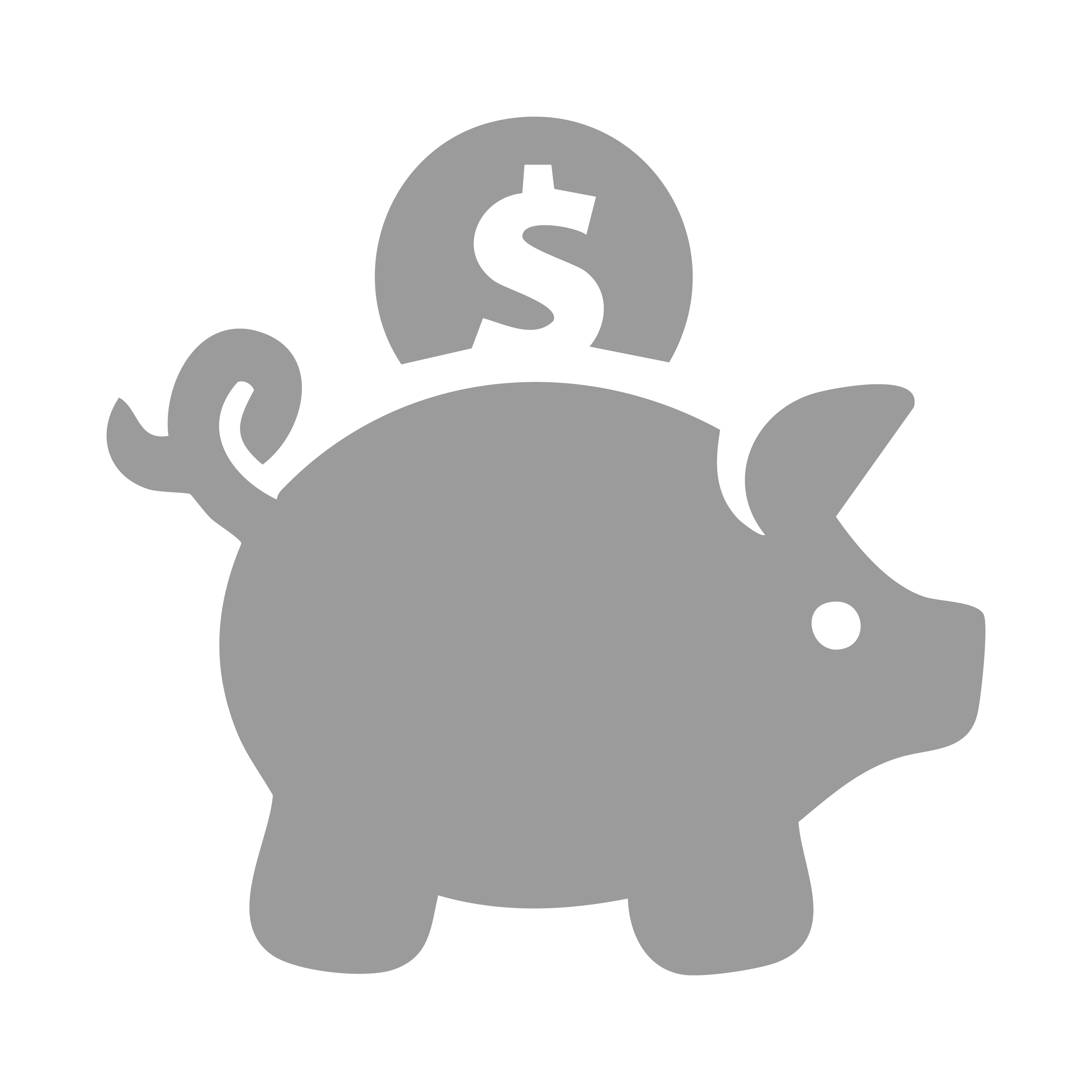 Piggy Bank Icon
